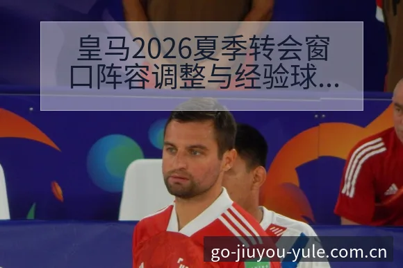 皇马2026夏季转会窗口阵容调整与经验球员引进战术价值深 - 九游官网